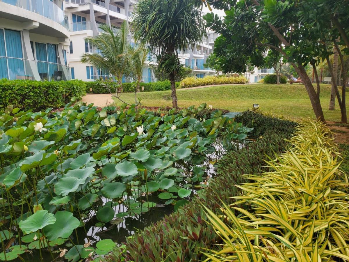 Beach Front Paradise نيلافيلي المظهر الخارجي الصورة