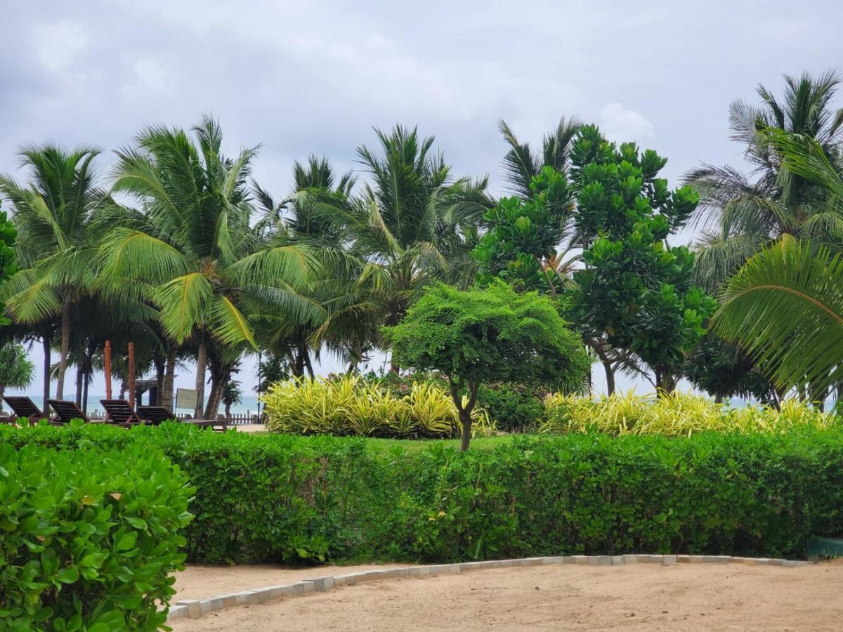 Beach Front Paradise نيلافيلي المظهر الخارجي الصورة