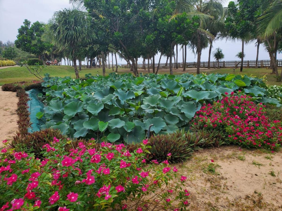Beach Front Paradise نيلافيلي المظهر الخارجي الصورة