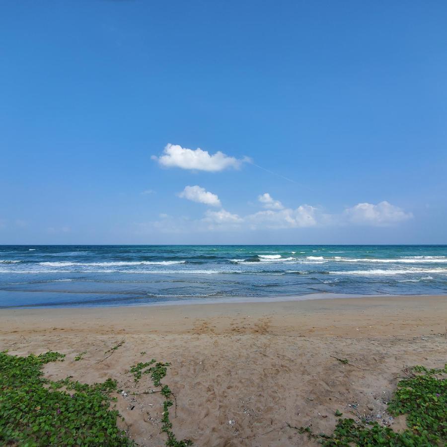 Beach Front Paradise نيلافيلي المظهر الخارجي الصورة